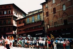 palio1.jpg (22972 バイト)